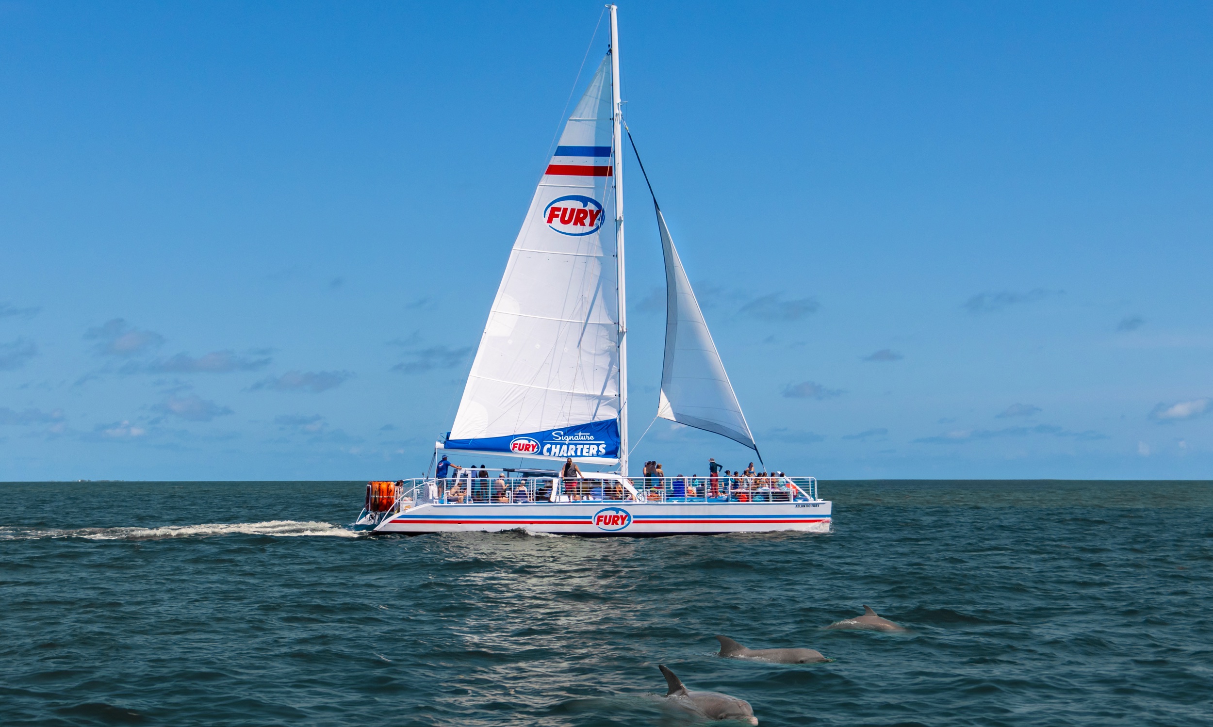 The Fury Sailing Catamaran on a Dolphin Cruise