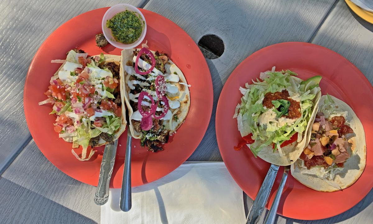 A plate of tacos from Back 40 Urban Cafe in St. Augustine, Florida.