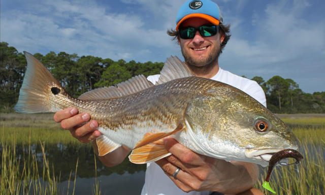 An angler proudly holds a Red Drum, also known as Redfish, showcasing its distinctive reddish hue and prominent spot near its tail