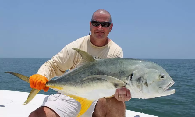 The jack crevalle is one of a wide variety of fish abundant in the St. Augustine area.