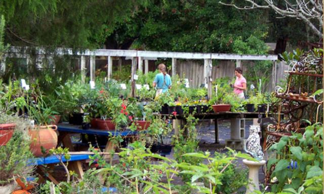 Visitors browsing around in the outside garden area