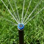 Sprinkler and grass