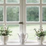 Beautiful windows with flower vases