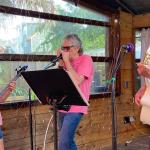 Three musicians, a bass player, harmonica player, and guitarist performing together at an open mic