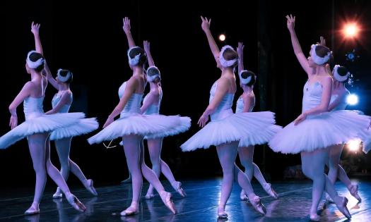 Members of the Dance Alive National Ballet troup, on stage in short white tuts, dancing in Swan Lake