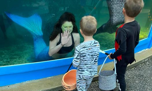 Mermaids and trick-or-treaters at the Under the Sea event