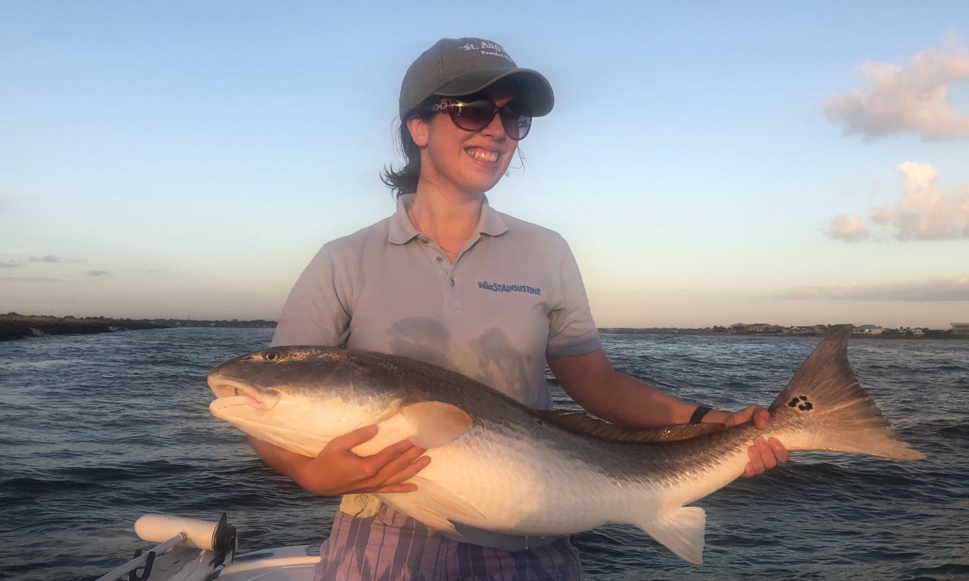 North Florida Fish Species, St Augustine, FL