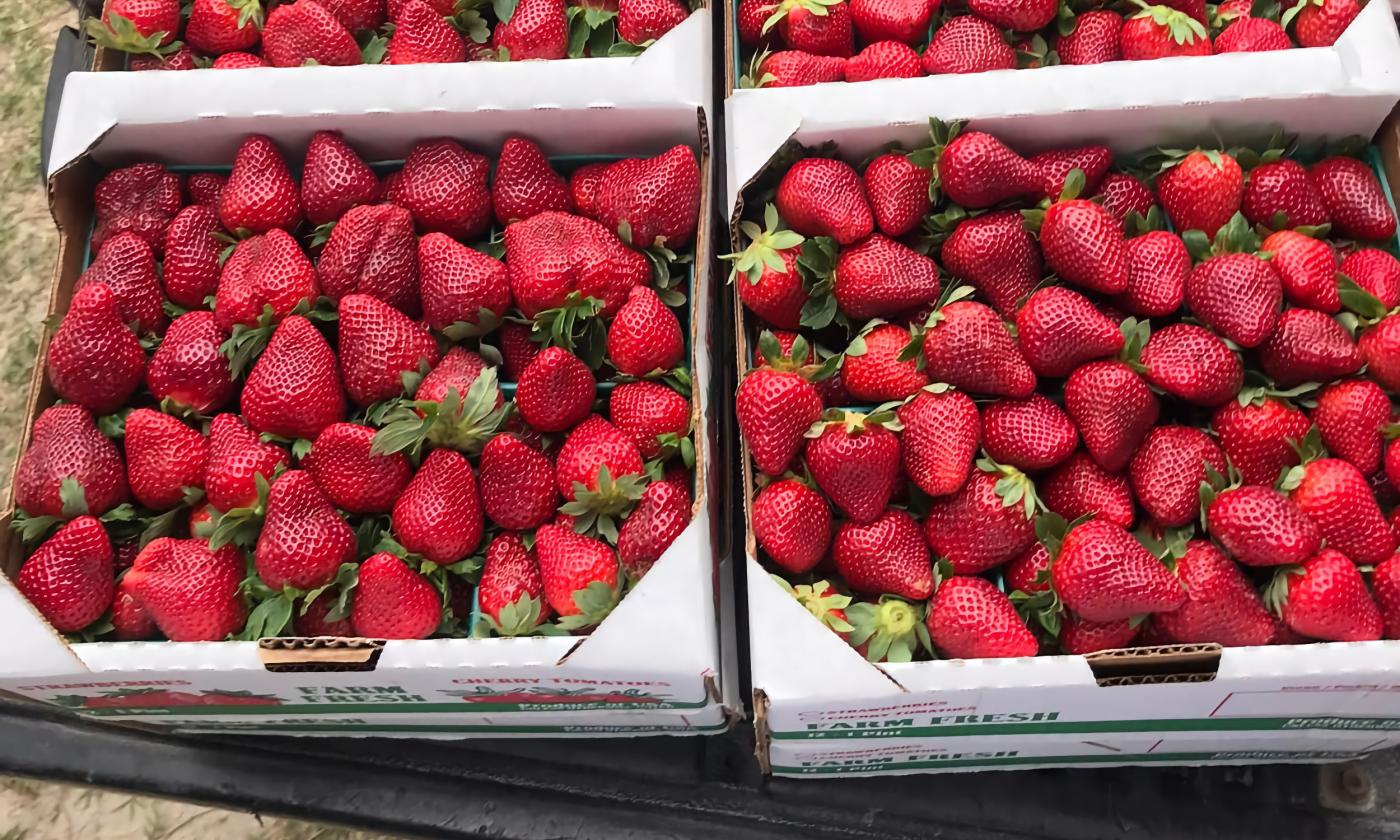 Fresh Fruit, Vegetables, Salads & Juices - City Market