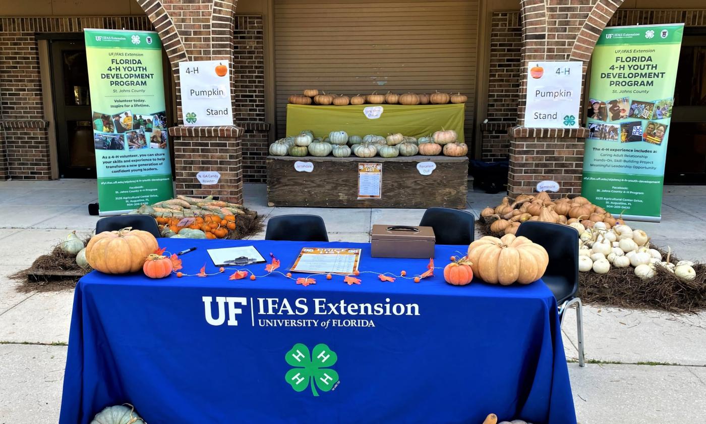 Pumpkin-picking fundraiser setup for St. Johns County 4-H