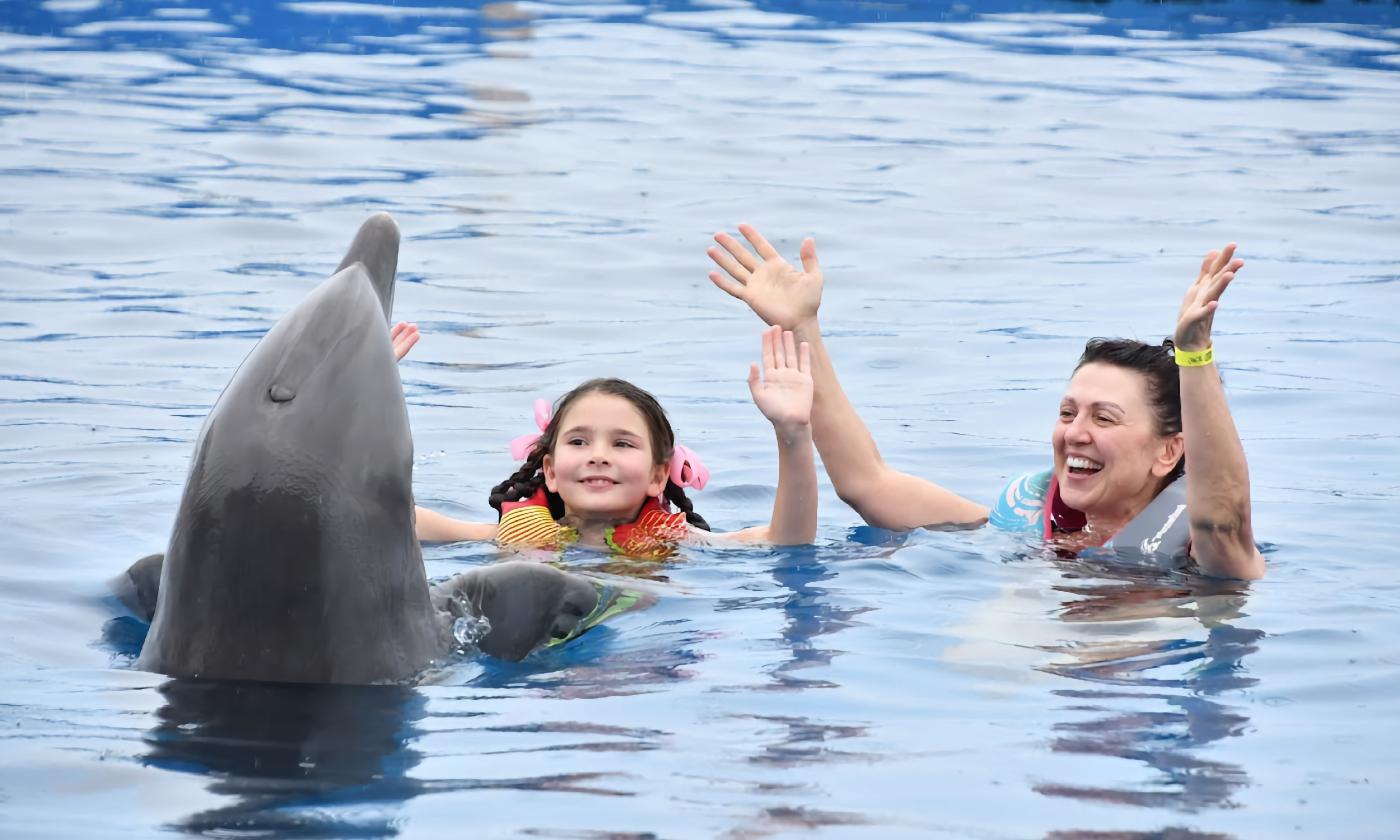 A child and an adult raise their arms as a dolphin raises his flippers in a pool at Marineland