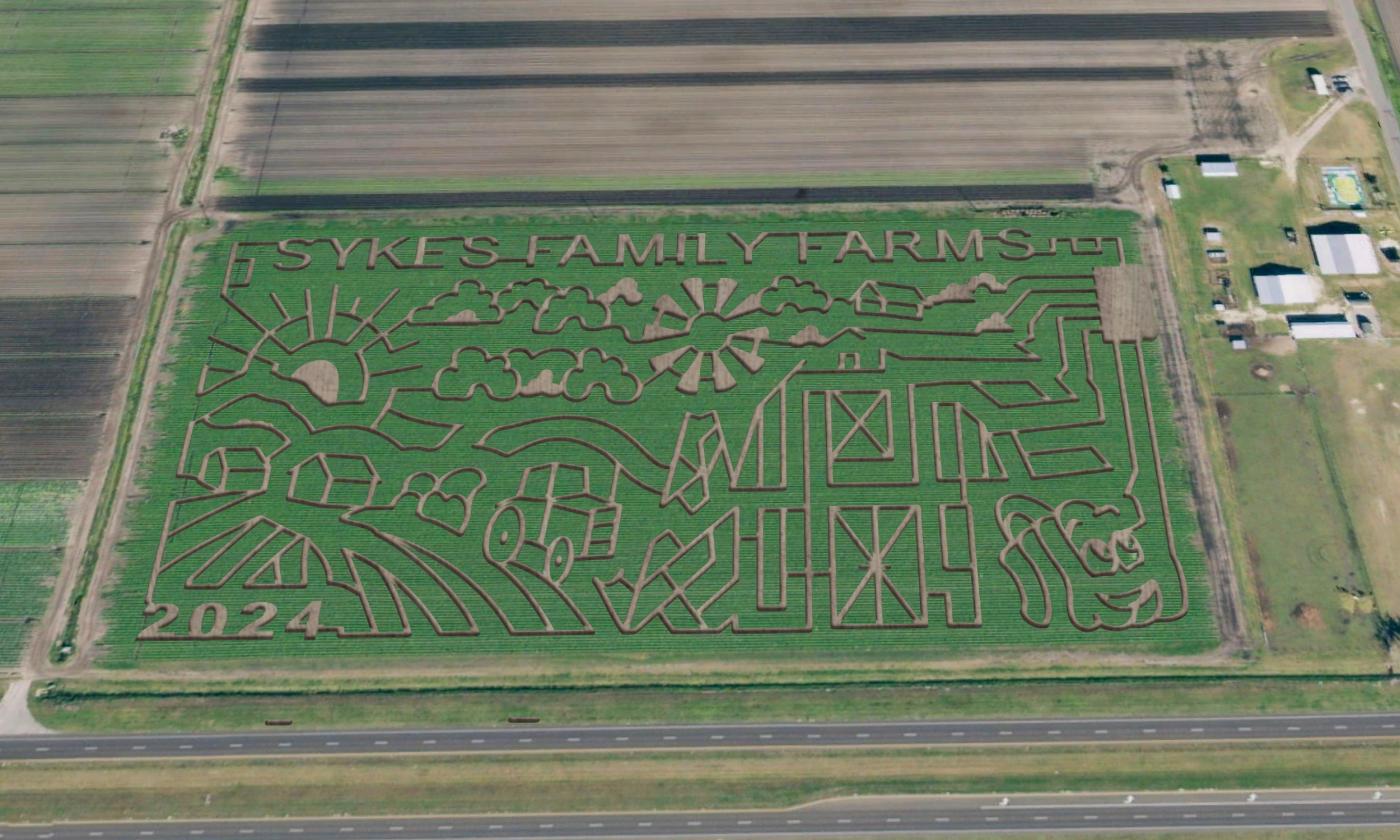 A birds-eye view of the Sykes Family Farms maze