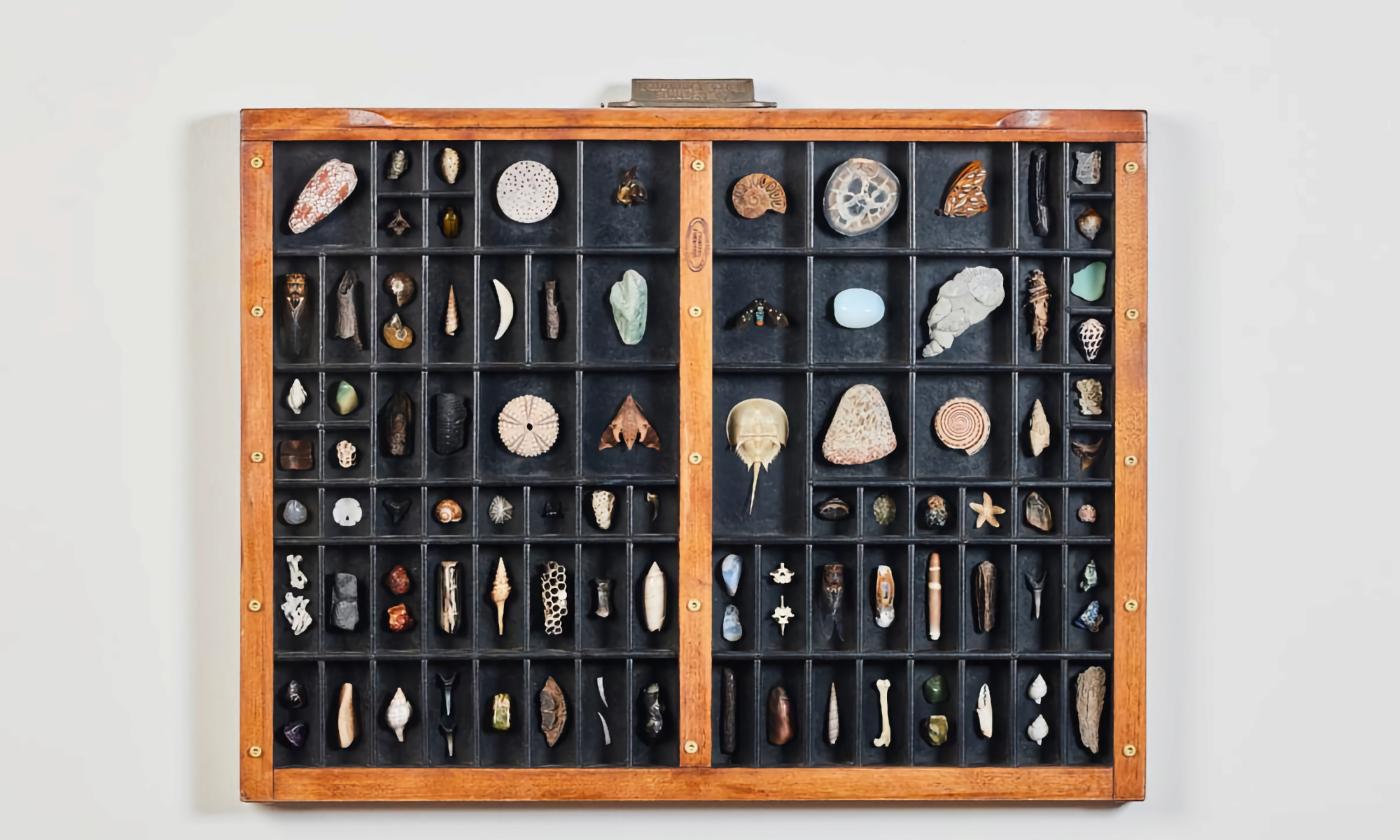 The artist Crystal Floyd creates collections using found objects