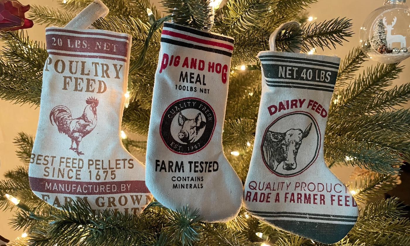 Christmas stockings hanging from a tree