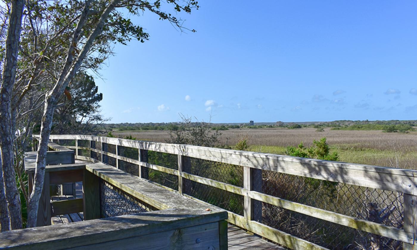 The trail at SE Intracoastal Waterway Park