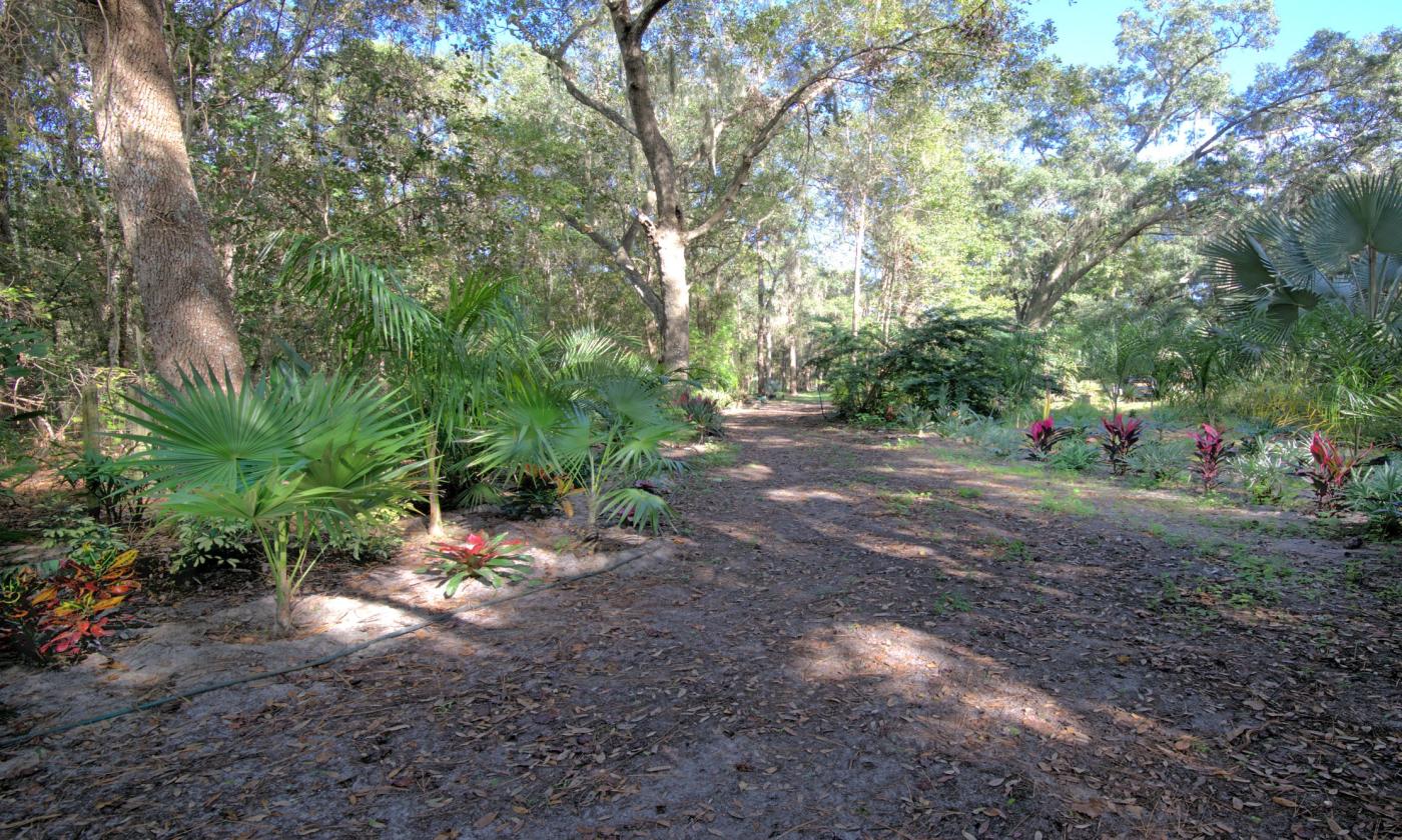 A wide path among the plants at St. Johns Botanical Garden and Nature Preserve