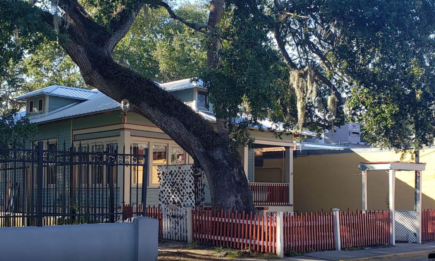 St. Augustine, FL - Love Tree