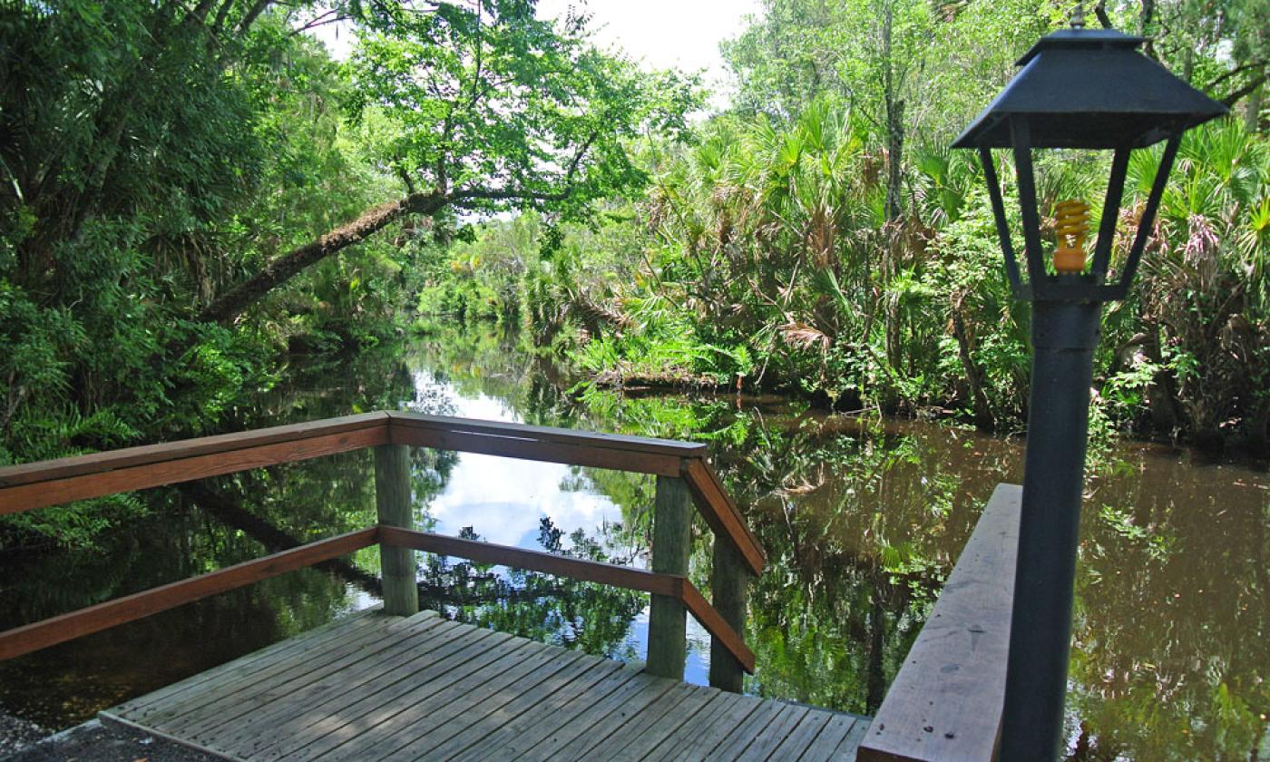 Pellicer Creek RV Camping in St. Augustine. 