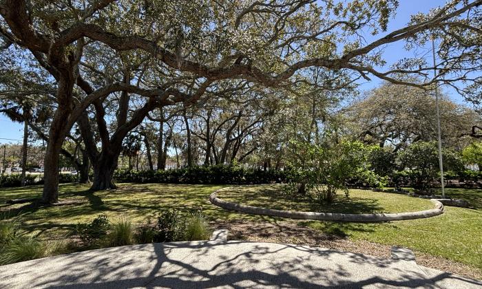 The backyard area has shaded trees and shrubbery