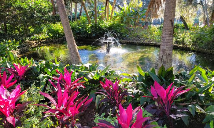 Bright pink flowers among greenery in the foreground with a pond and fountain in the background