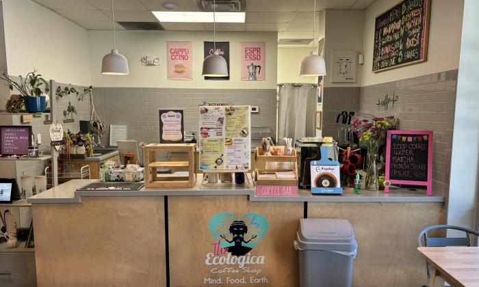 The counter area at The Ecologica