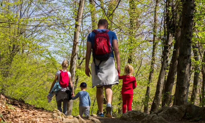 A dad and three young children on a nature walk