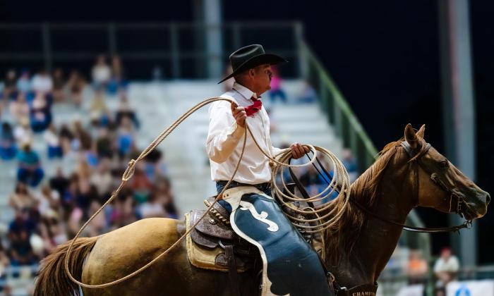 A rodeo cowboy on a horse
