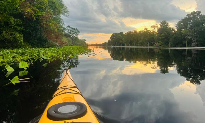 The bow of a yellow kayak, pointed toward water plants and the sunset beyond