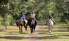 People travel on horseback in the forest. 