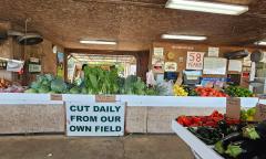 The displays and counter at County Line with colorful vegetables