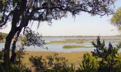 An overlook of the water from the nature trails