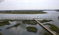 A bird's eye view of Intercoastal Marina, Inc.