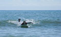 Endless Summer Surf School