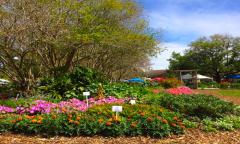 St. Johns County Agricultural Center in St. Augustine, FL.