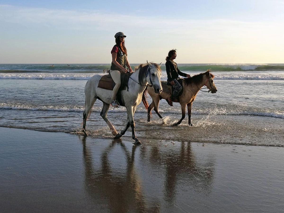 St. Augustine Beach Horseback Riding: An Unforgettable Experience