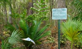 A sign announcing the tropical garden in the St. Johns County Botanical Gardens near St. Augustine