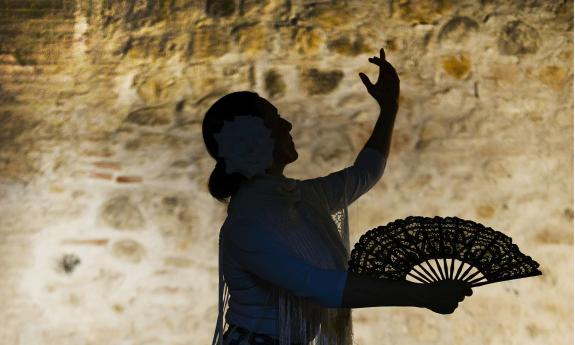 A flamenco dancer in silhouette against a stone wall