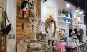 Wild Heart Boutique Visit St. Augustine