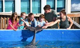 A family touches the tail of a live fish as they stand next to a tank at Marineland