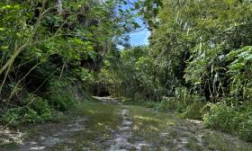 Hiking trails along the property