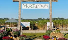 The entrance to the maze