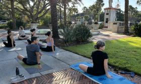 A yoga class in session