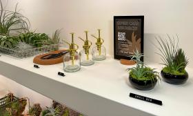 A shelf with plants and care tools