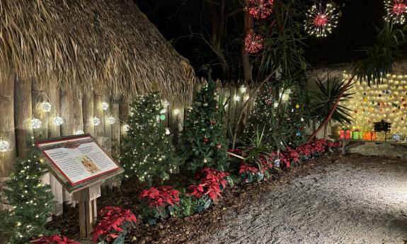 Christmas trees along the market's path