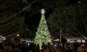 The Christmas Tree lit up in the Plaza