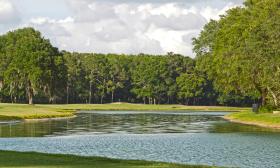 A water hazzard at Julington Creek Golf Course