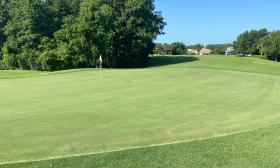 The green of a golf course, on a day with clear blue skies