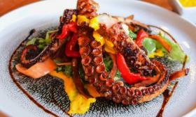 Pan-fried octopus served with an artistic presentation