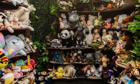 Shelves filled with plush toys, from the fantastic to the realistic