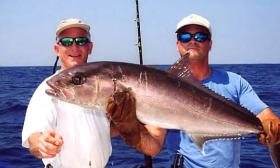 A fresh caught amberjack