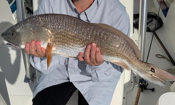 A fish held up by a guest